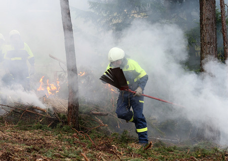 GOZDNI POŽAR O1 FOTO LJUBO VUKELIČ (2)