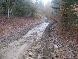 UREDITEV POLJSKIH POTI KAMNA GORICA