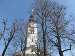 Obrezovanje lip v Cerknici