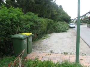 ČIŠČENJE BREŽINE OB CESTI PEŠČENK V CERKNICI