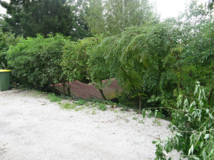 ČIŠČENJE BREŽINE OB CESTI PEŠČENK V CERKNICI
