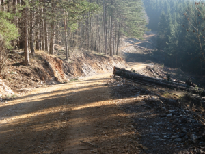  IZDELAVA PROTIPOŽARNEGA PASU - POTI NAD PEŠČENKOM V CERKNICI