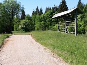 Rekonstrukcija poti Gorenje Otave (F: Boštjan Otoničar) 