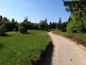 Rekonstrukcija poti Gorenje Otave (F: Boštjan Otoničar) 