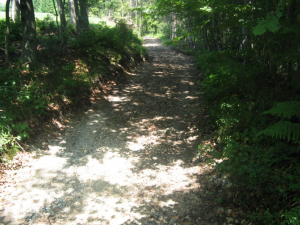 Ureditev poljske poti Gorenje Otave-Kranjče - Vir: Občina Cerknica Datum: 05.08.2013